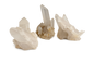 Natural Gemstone Crystal Clear Quartz Cluster Point Specimens 1 lb