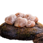 Natural Crystal Gemstone Flower Agate Hearts 1/2 lb 8 oz.