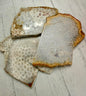 Natural Gemstone Crystal Fossilized Coral Agate Slabs 1 lb 16 oz