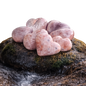 Natural Crystal Gemstone Sunstone Hearts 1/2 lb 8 oz